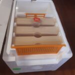 Oplodnováček  SWIENTY-BINE