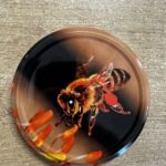 Víčko na sklenici na med se závitem TO 82 - Letící včela