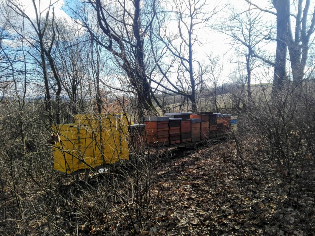 Včelařské Eurodotace